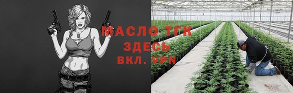 гашик Арсеньев