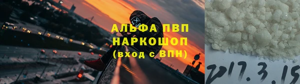хмурый Алзамай