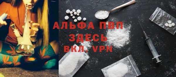 стафф Алексин