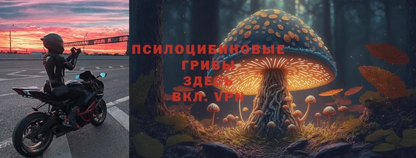 стафф Алексин