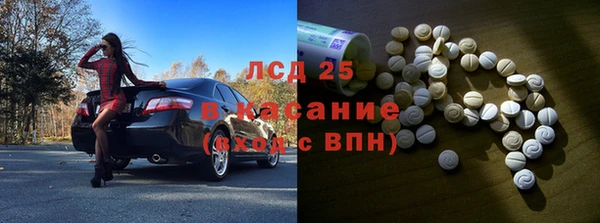 хмурый Алзамай