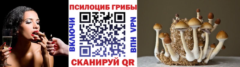 Купить закладки  Тырныауз  Галлюциногенные грибы мухоморы 